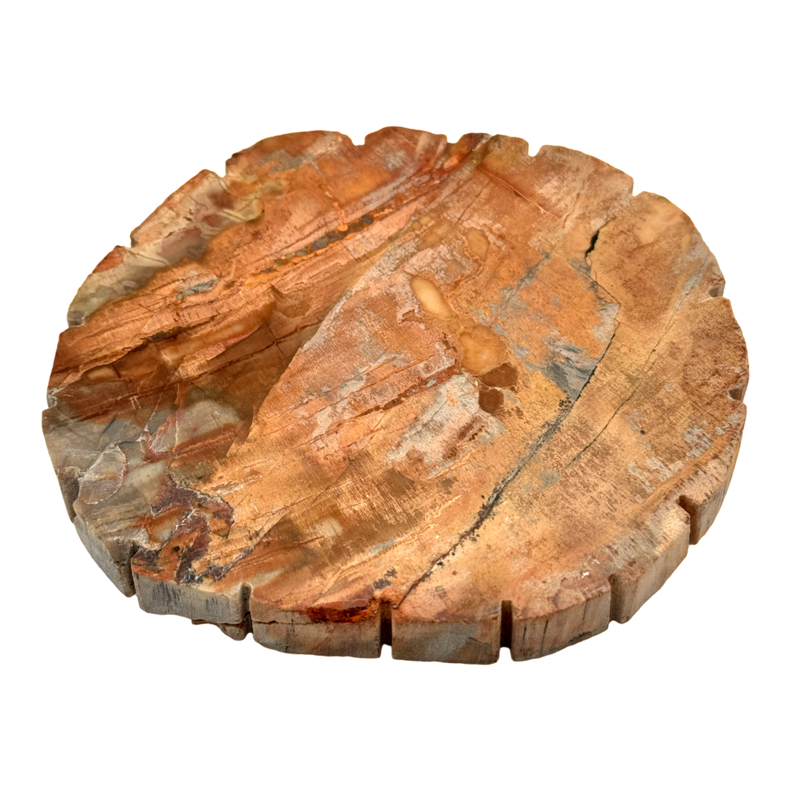 Bois pétrifié