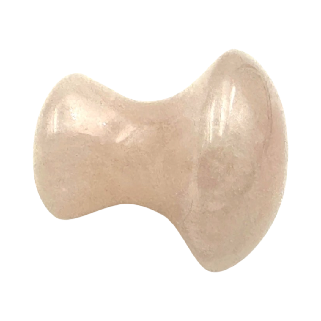 Champignon - vue 2