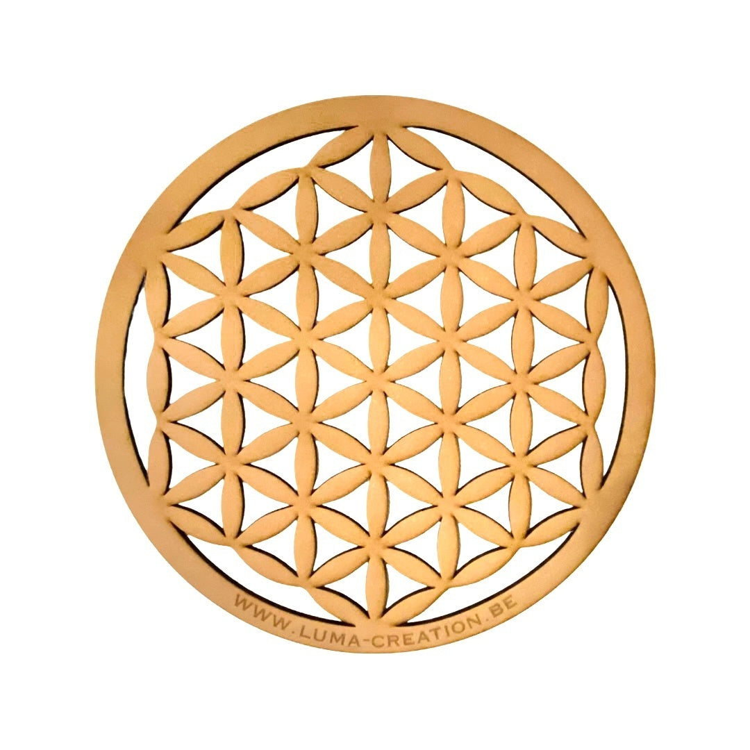Fleur de vie 7 chakras