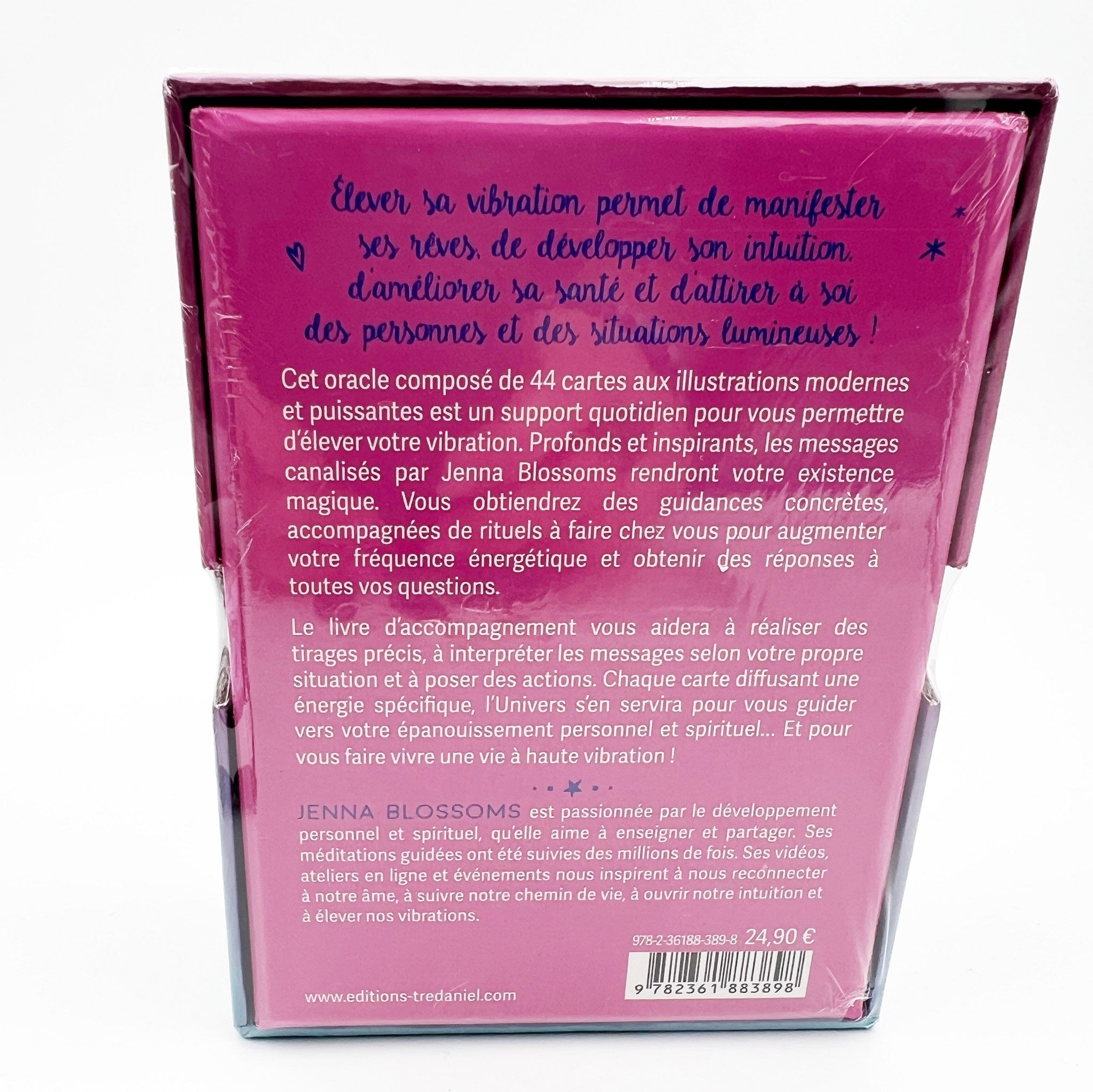 L’Oracle À Haute Vibration - vue 2