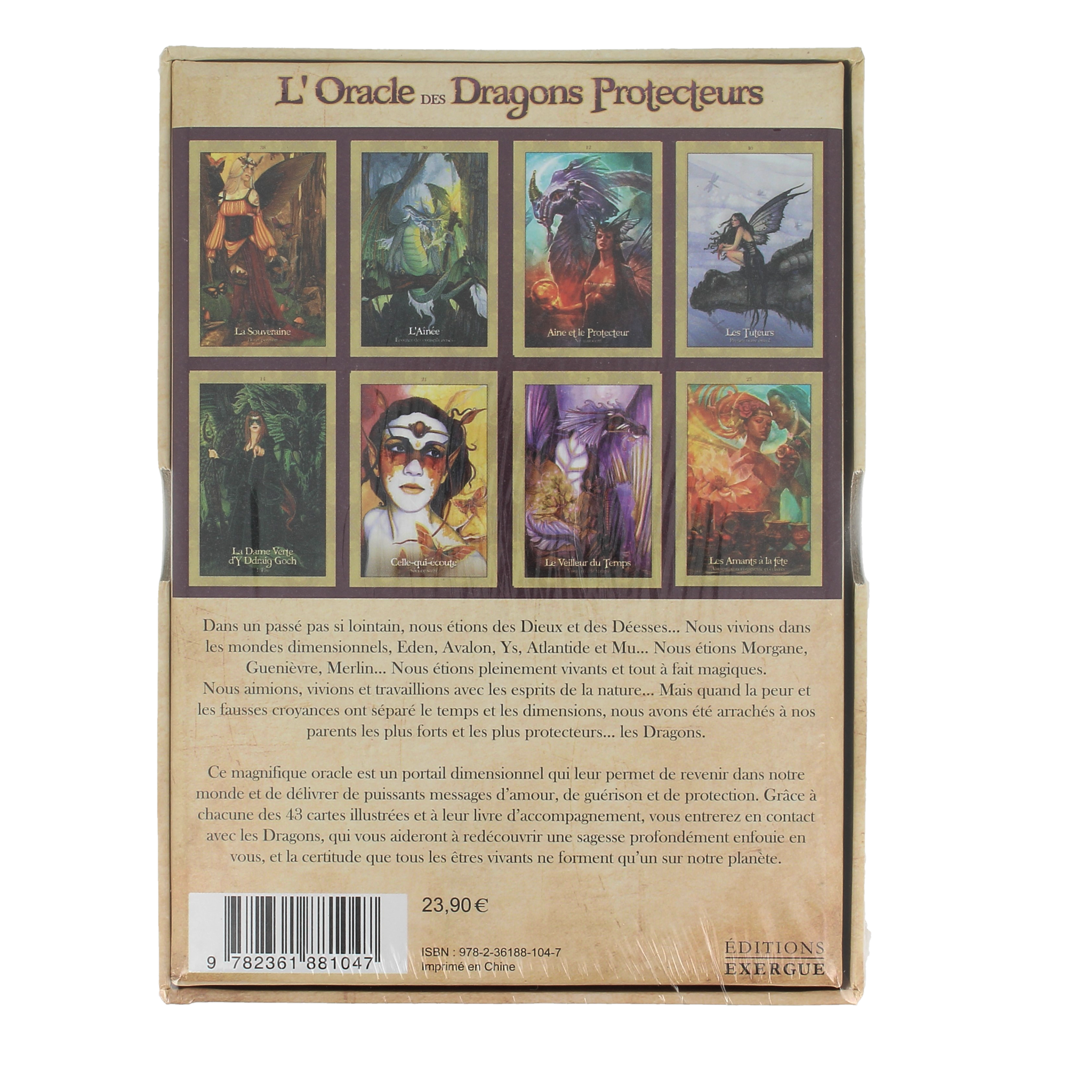 L'Oracle des dragons protecteurs - vue 2