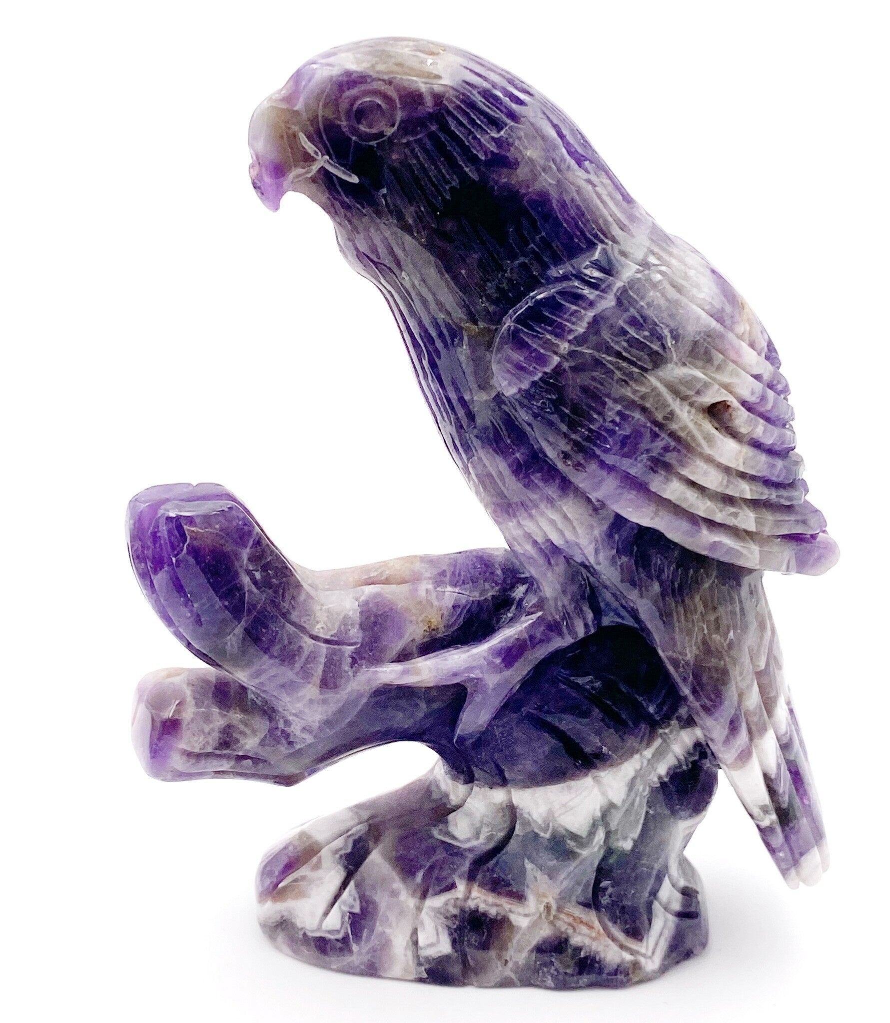 Oiseau - vue 4