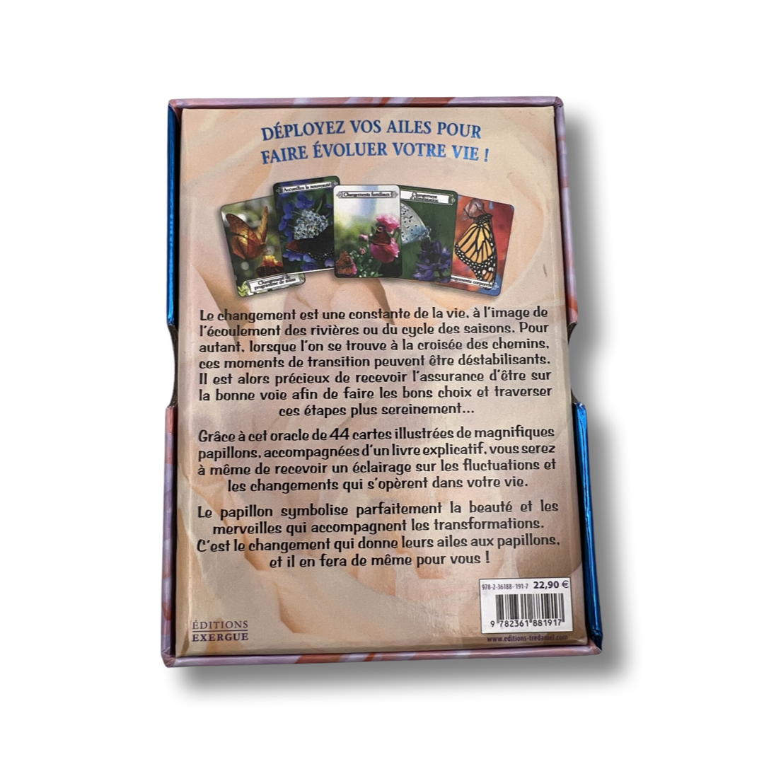 Oracle de la Transformation - vue 2