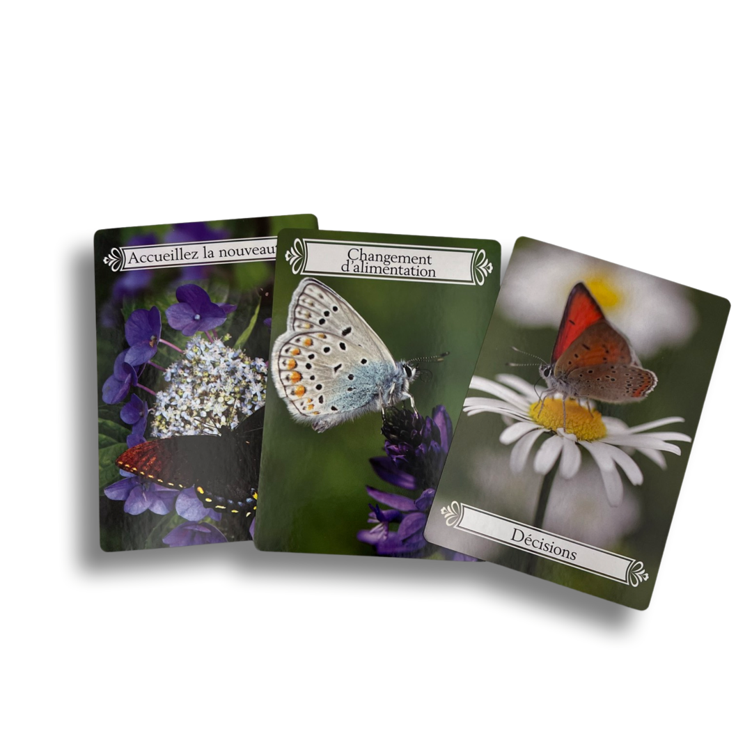 Oracle de la Transformation - vue 3