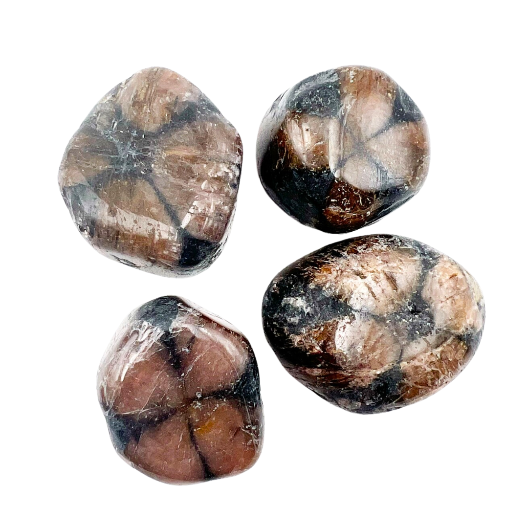 Pierre roulée andalousite - chiastolite