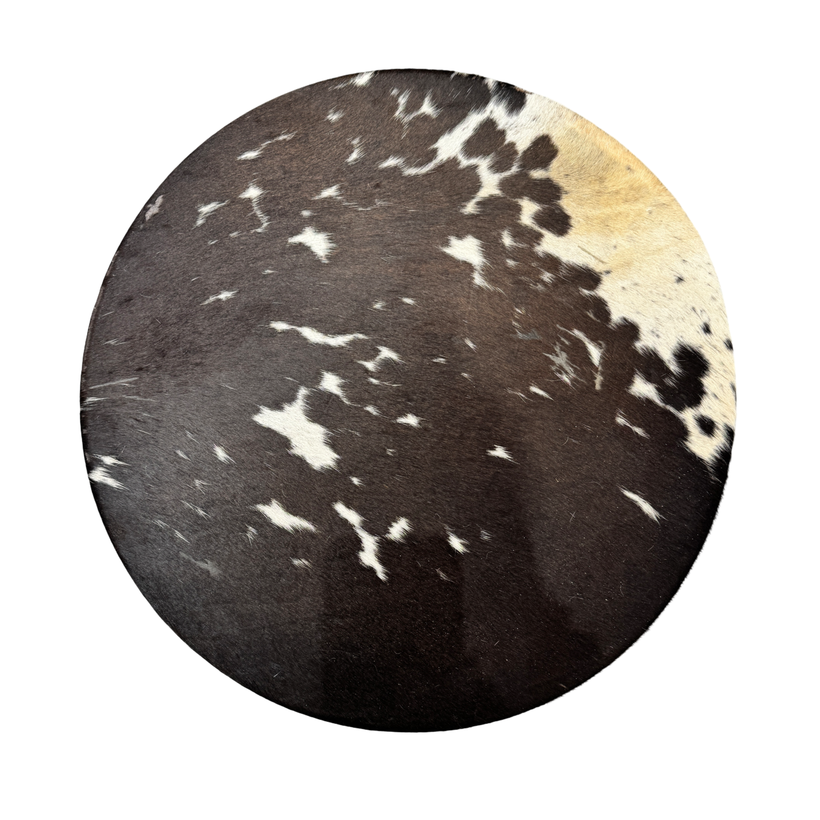 Tambour chamanique vache brune avec tâches blanches - 45 cm, Saule