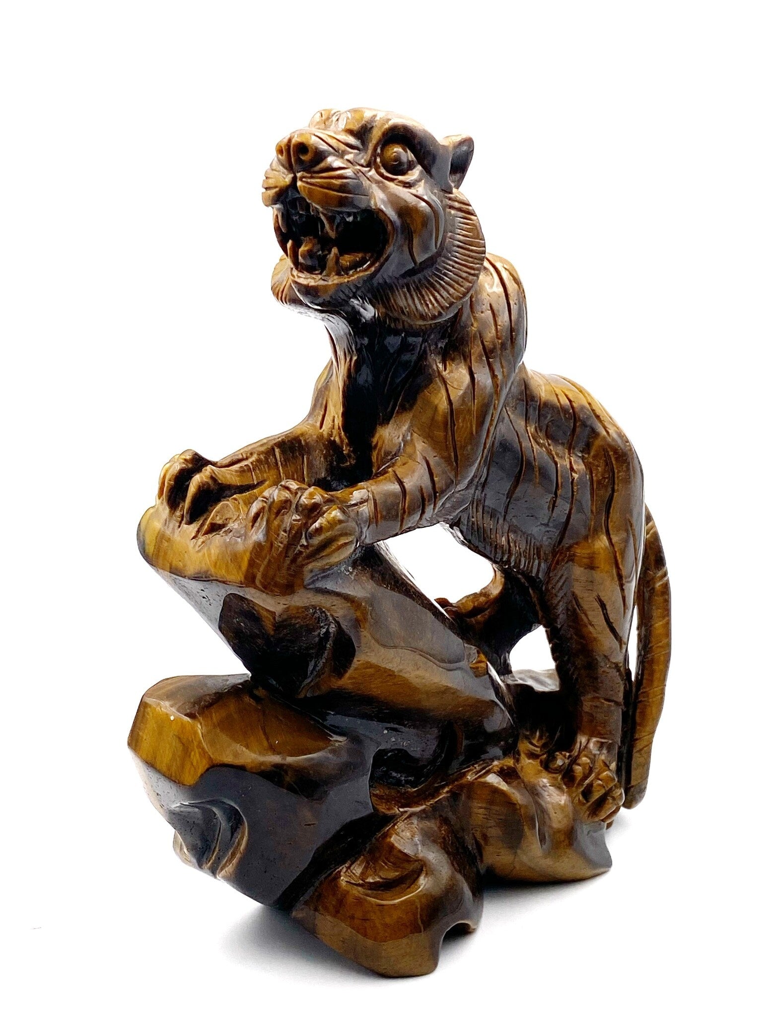 Tigre