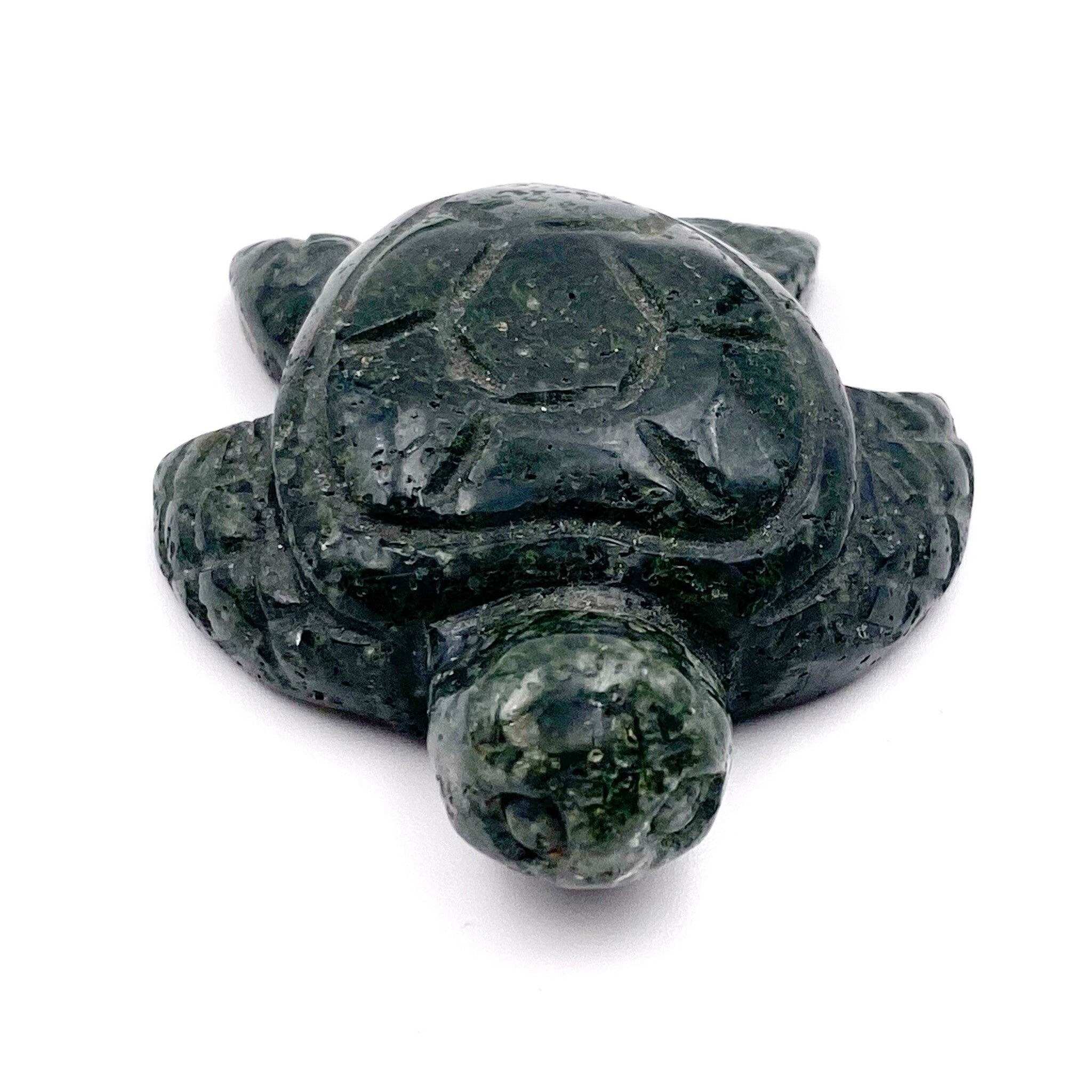 Tortue