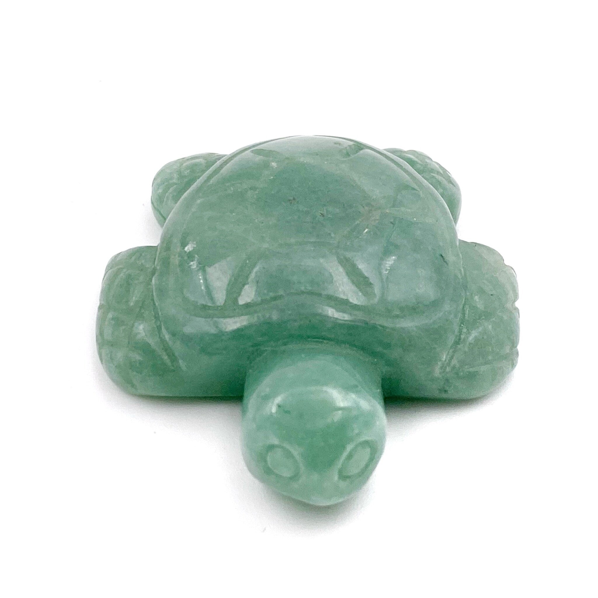 Tortue