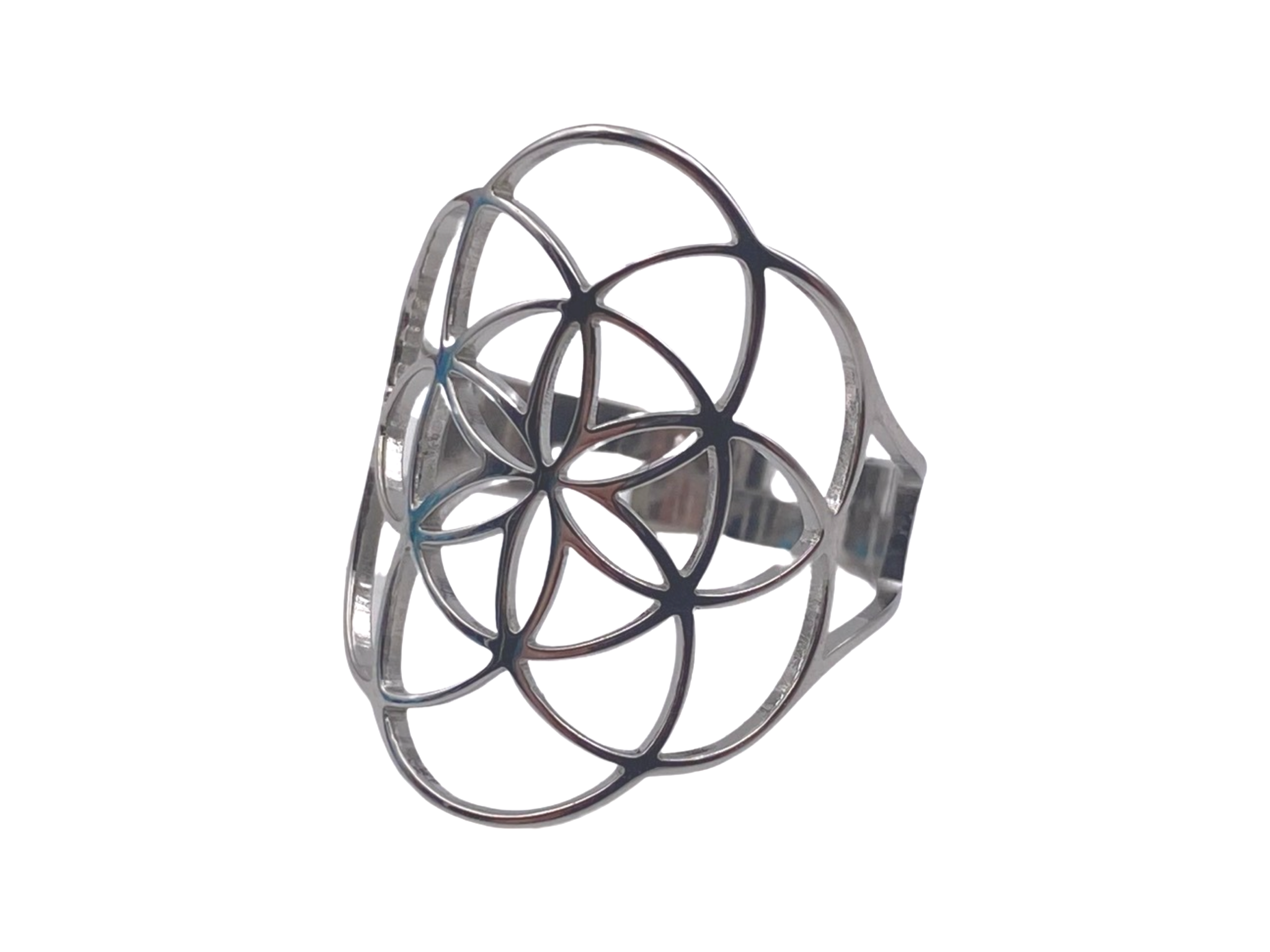 Bague graine de vie
