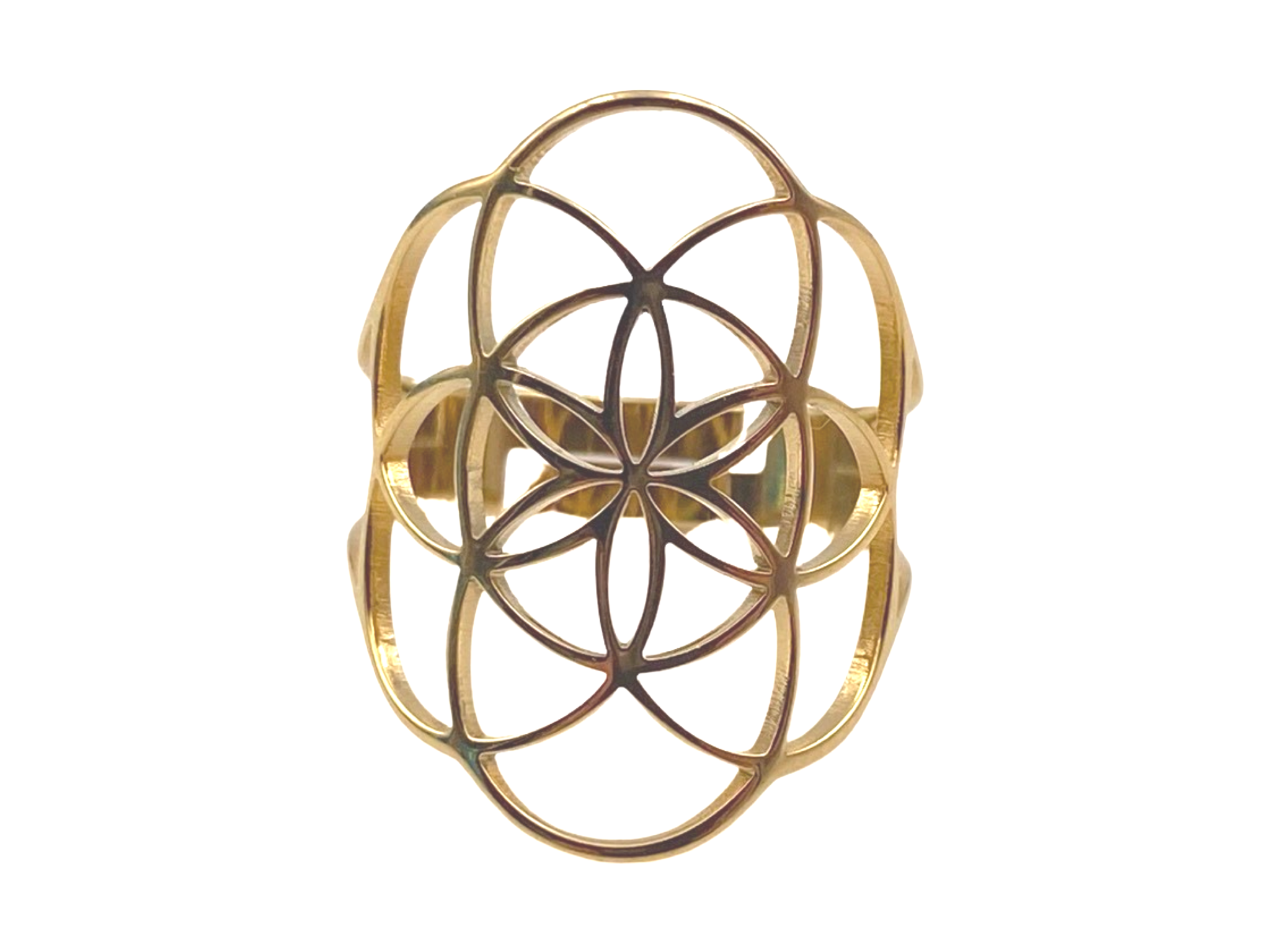 Bague graine de vie - vue 2