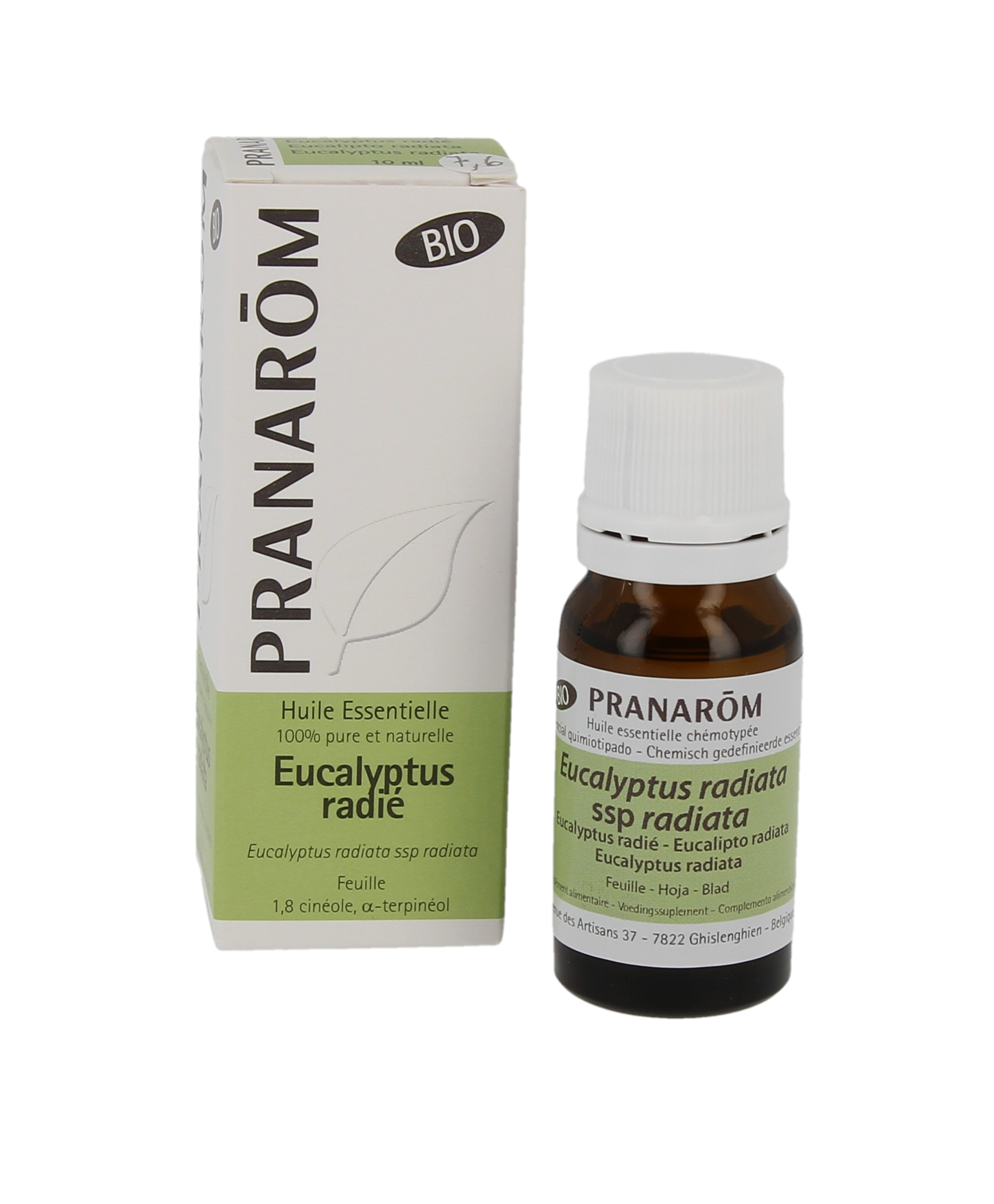 Huile Essentielle Eucalyptus radié BIO