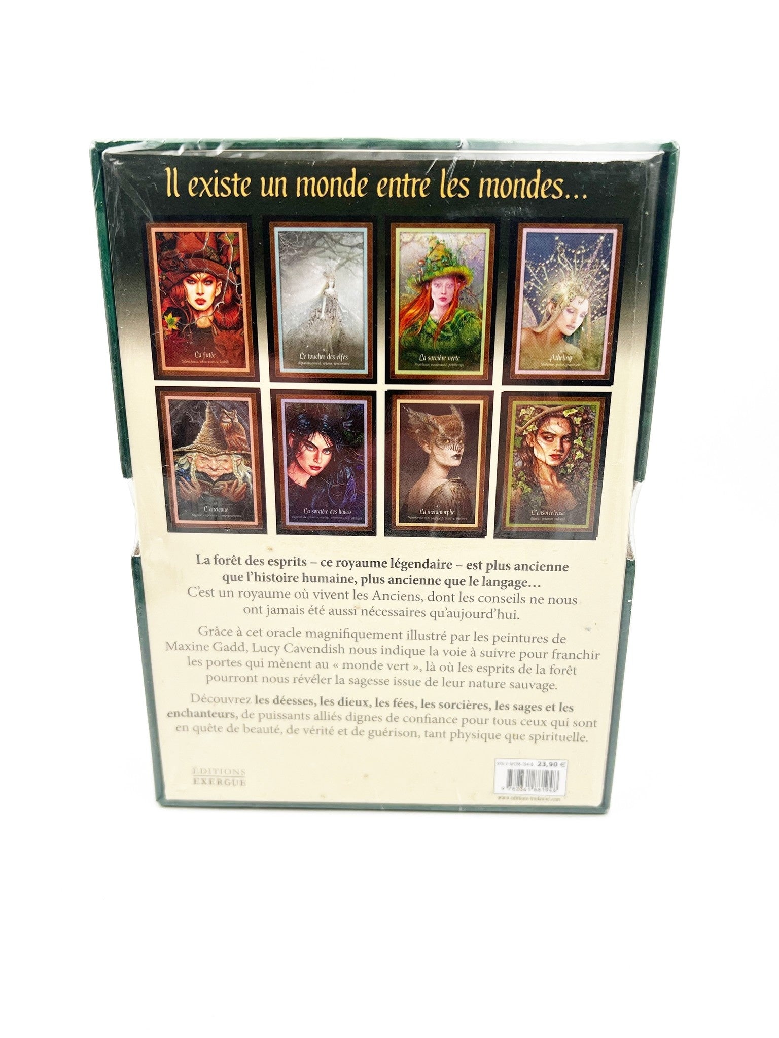 Les Esprits de la forêt - vue 2