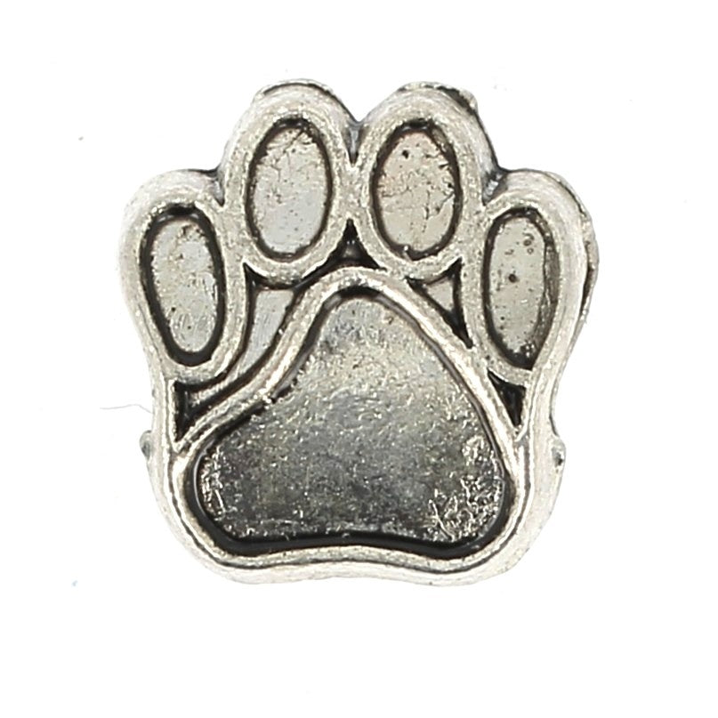 Patte de chien