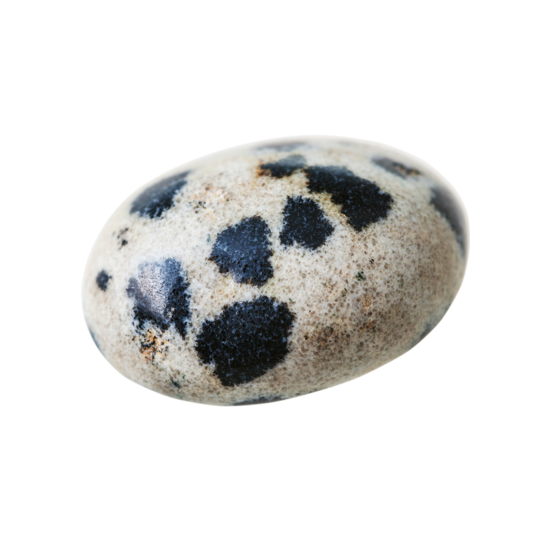 Pierre roulée jaspe dalmatien