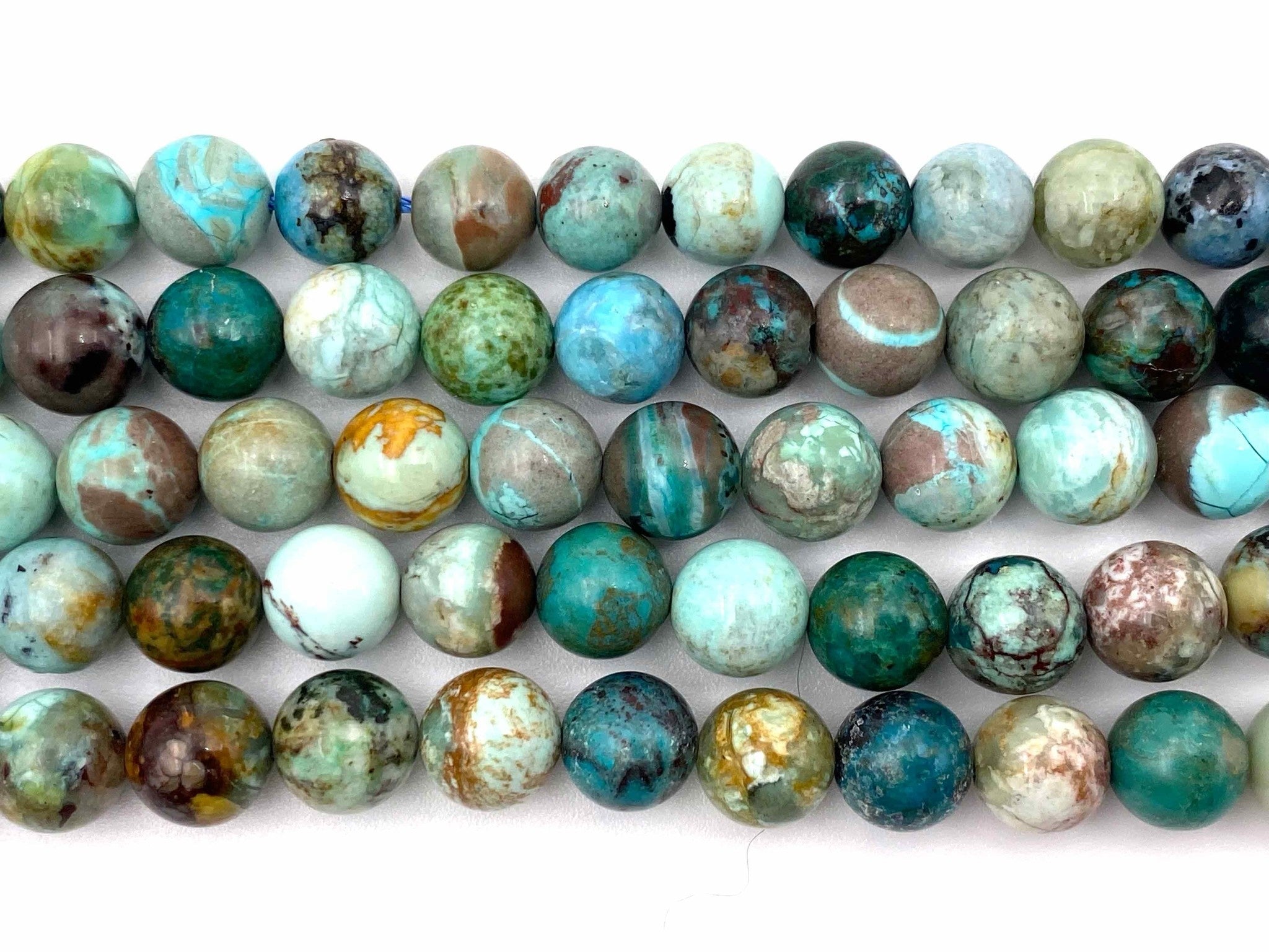Rang chrysocolle