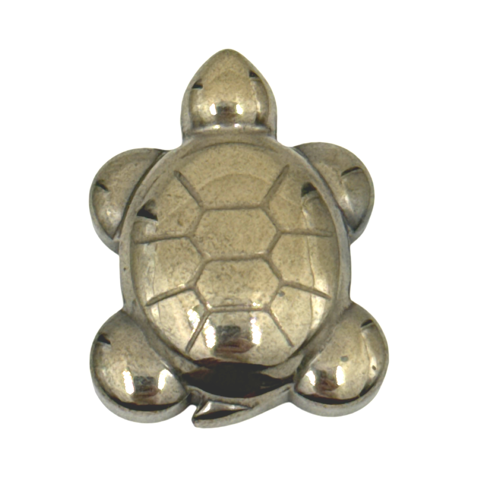 Tortue pyrite