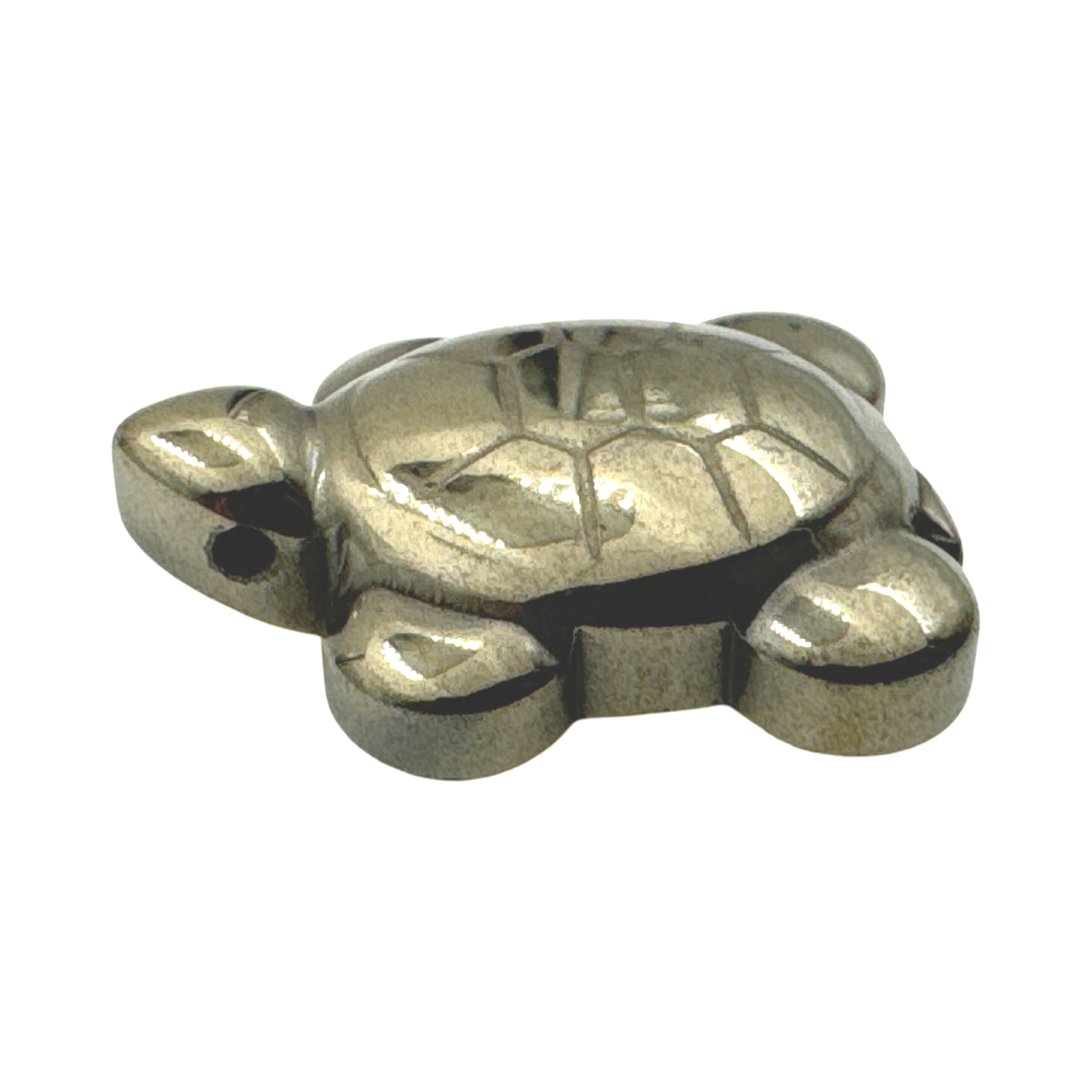 Tortue pyrite - vue 2