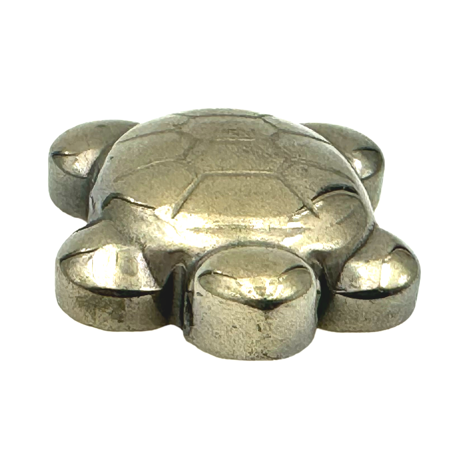 Tortue pyrite - vue 4